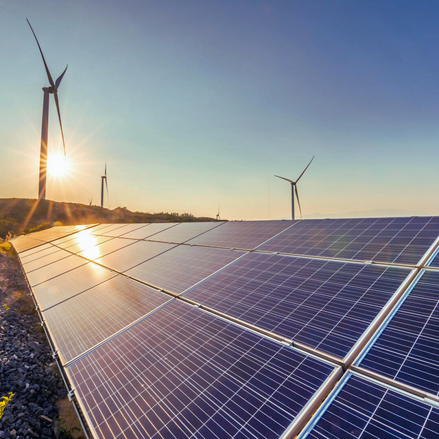 Solarmodule in einem Feld, das die Sonne reflektiert, mit Windrädern im Hintergrund.