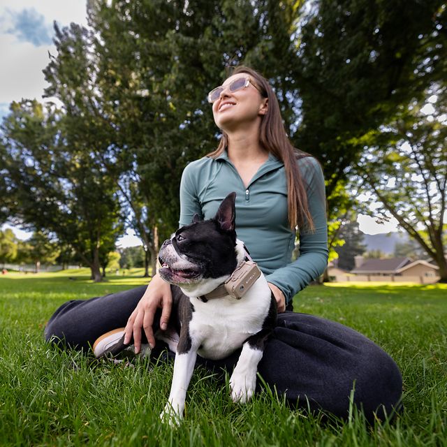 Frau sitzt im Gras und streichelt ihren Hund, der ein Halsband trägt.