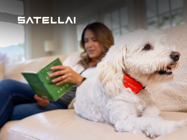 Satellai logo