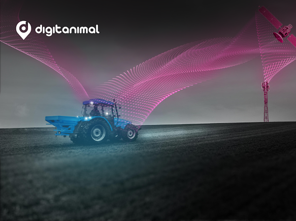 Digitalanimal logo