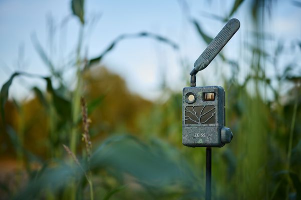 Zeiss Secacam in nature