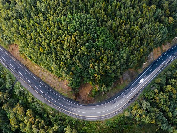 Drönarbild av en slingrande stig i skogen med mycket grönska