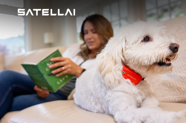 Satellai logo
