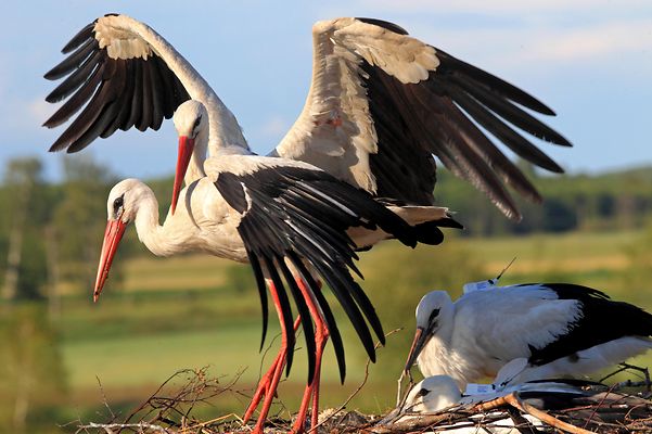 Door handle with a Wi-Fi symbol and a smartphone