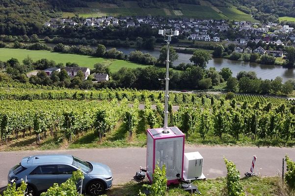 Weinberg mit Auto auf einer Straße sowie Funkmast