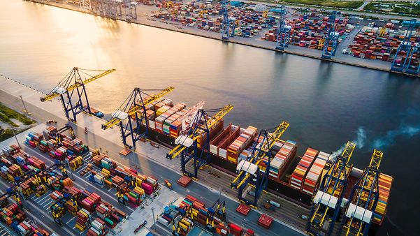 Blick von oben: Containerhafen mit einigen Brückenkränen